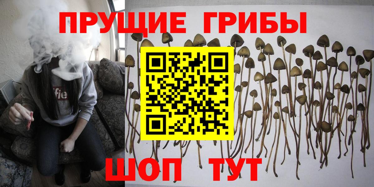 Псилоцибиновые грибы мухоморы Видное