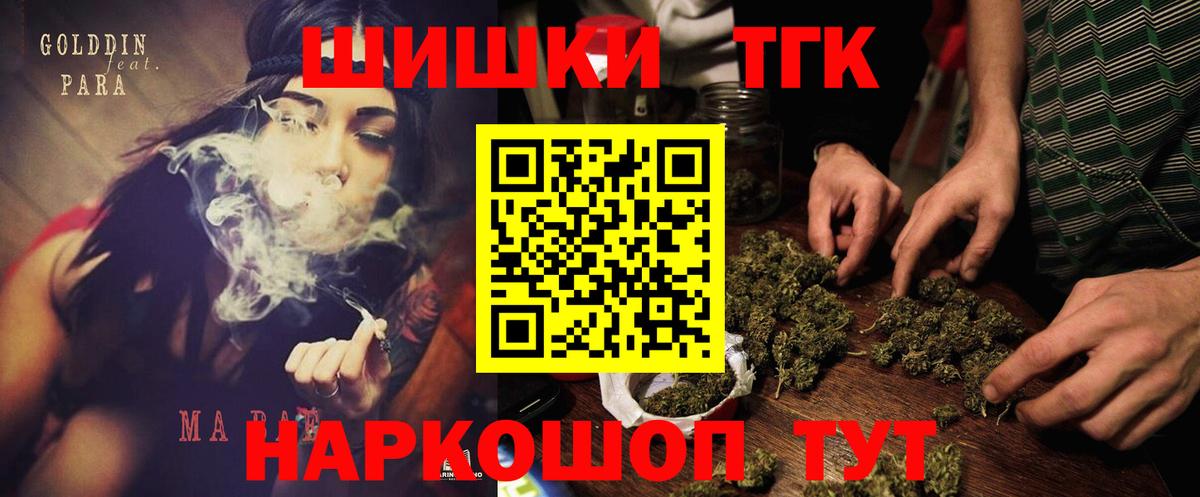 ГАШ Видное